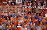 WOODSTOCK DIARIES